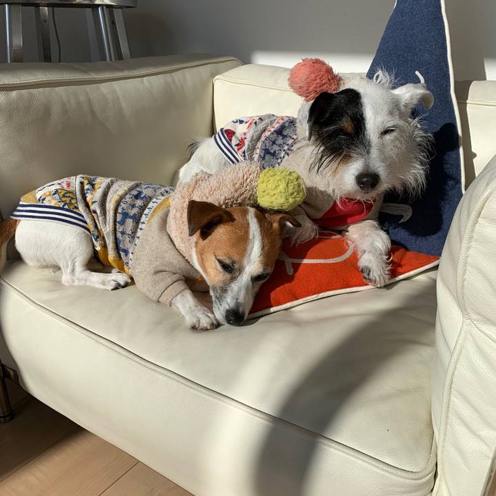 18dbf6d9 ca18 4ac6 922c 8dbb74794b5b 1579407994156