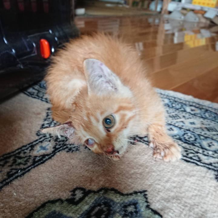 18dc03c4 58b9 4581 af2d b8d72e6fa69a 1690282592185