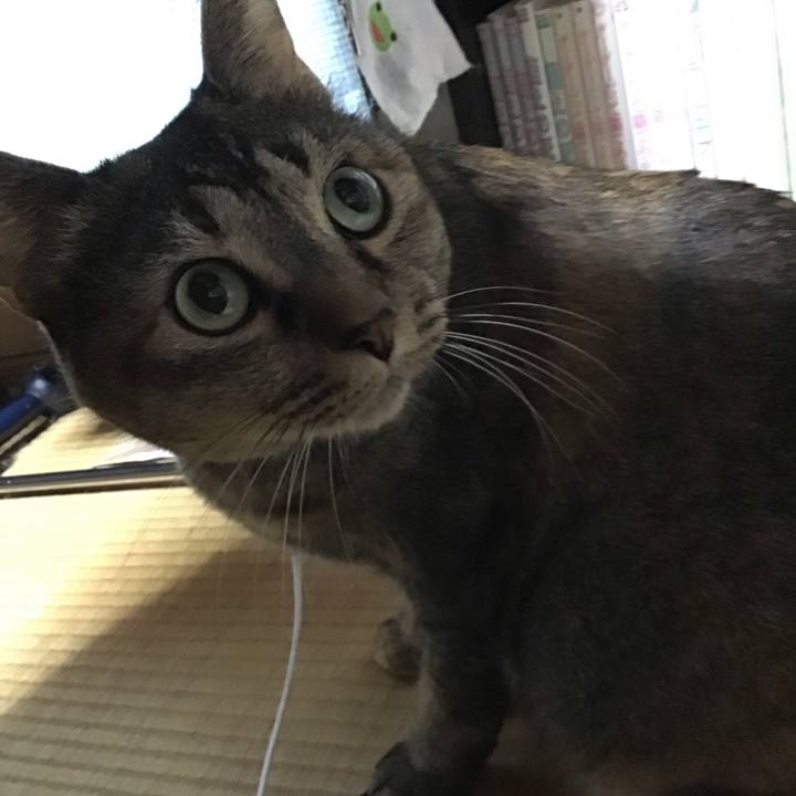 18dc3ac3 47bd 4674 ba00 cf74537eb25e 1730885029432