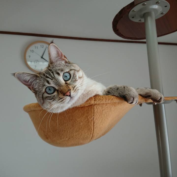 18dc913f 969a 4211 926b 489e82f3da0c 1521961518945