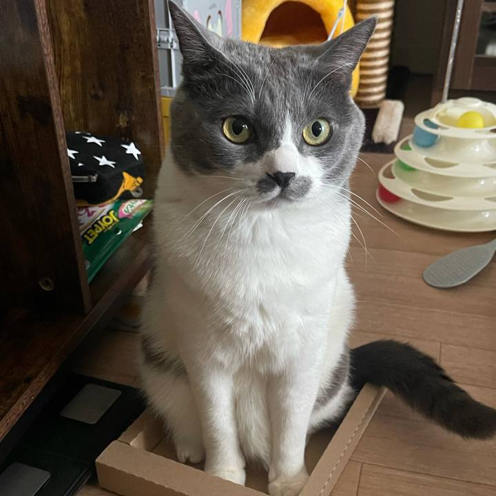 18dc91c5 f6c8 43d8 ad8d 78f1ae0b2eeb 1732866754229