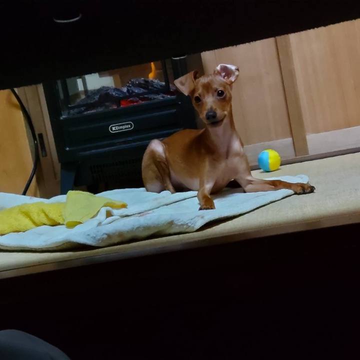 18dc942b f246 44e2 97fb bfea55660506 1672888854185