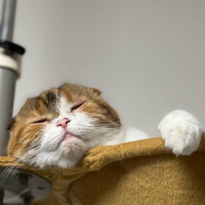 18dcb1d1 0053 43f8 beeb 12305886150c 1686315637006