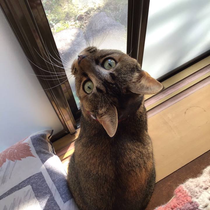 18dcc8a5 e62c 4d6a 98d7 62e4e2c6b3ff 1605063093858