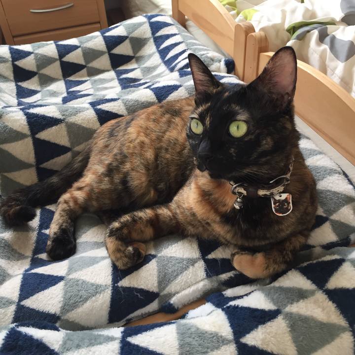 18dce4e8 03e8 4abb 8482 a9c2374c1613 1536926378928