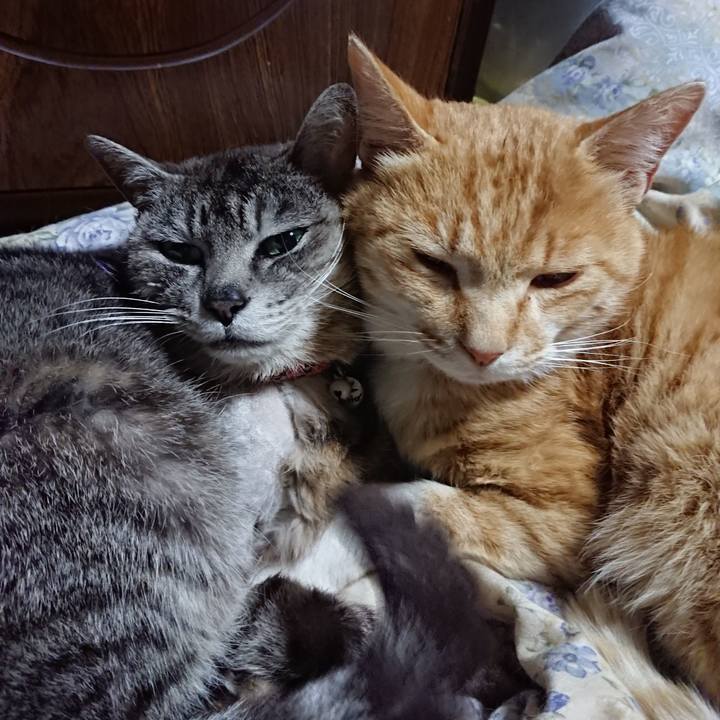 18dd059d c69f 4060 bd12 06eb5ae2b2b4 1590064410233