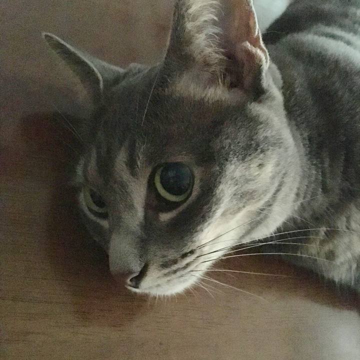 18dd10de 5207 4271 9481 5f380d18b022 1565903418774