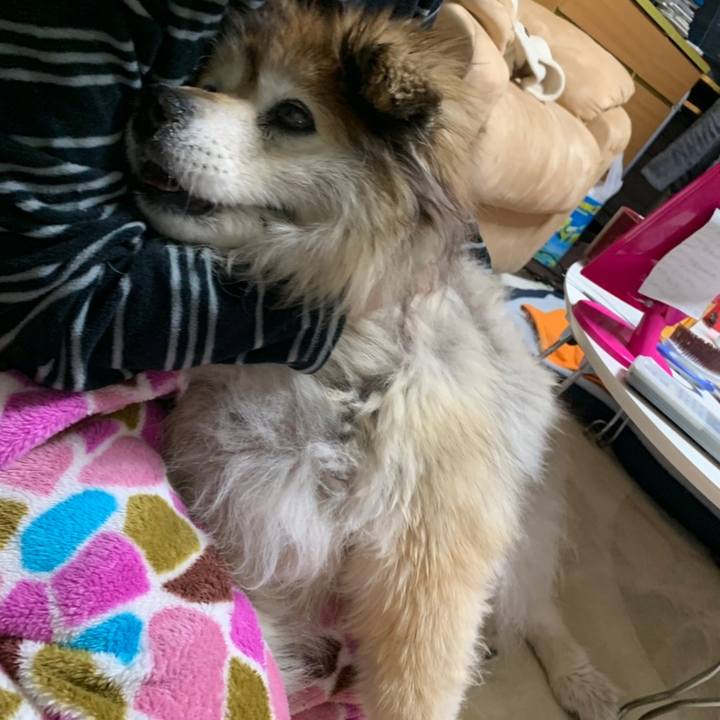 18dd3a16 d63a 478a bd63 1417948b0828 1565285712219