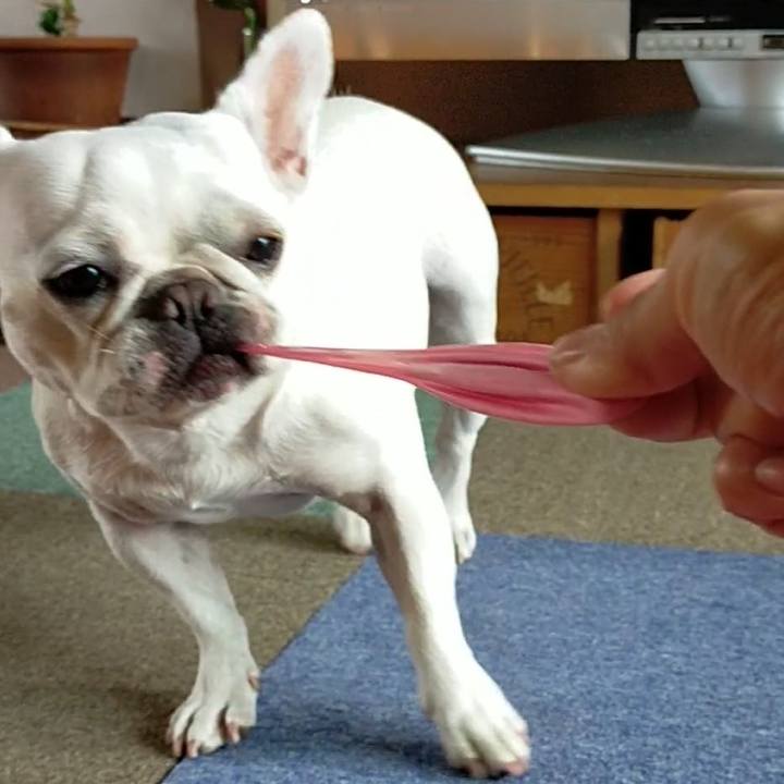 18dd4373 b971 416d b211 0a2ffb24fc95 1657595873251