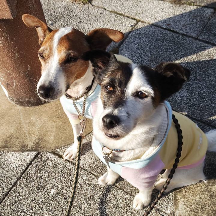 18dd6db4 6e8b 46d1 8722 325b492a9413 1746051158799