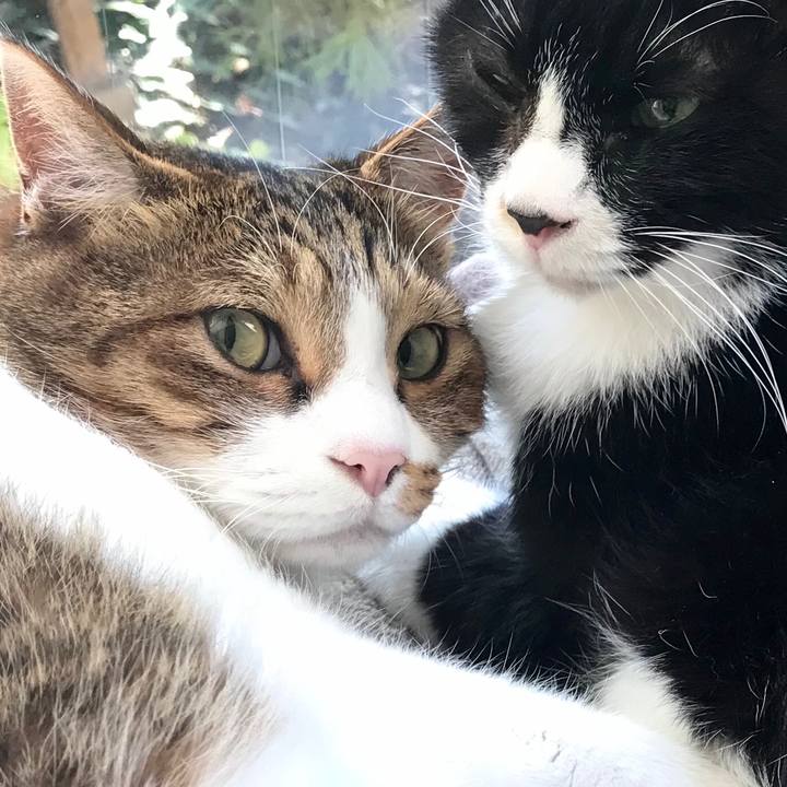 18dd71af c10a 45ff 84a7 e46f501e10ff 1576313125820