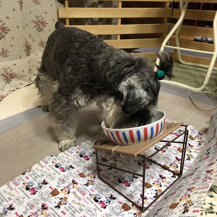 18de1f1d da9b 4307 a3e9 bb0a250c0365 1612711129592