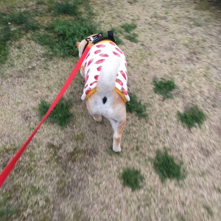 18de33b9 abe4 437d ba1d 97f2213f06ce 1585384843653