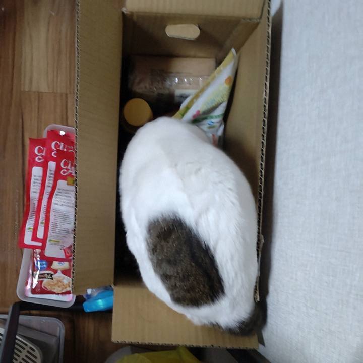 18de388b 2a46 45cb a359 8098bc9a431e 1761382947583