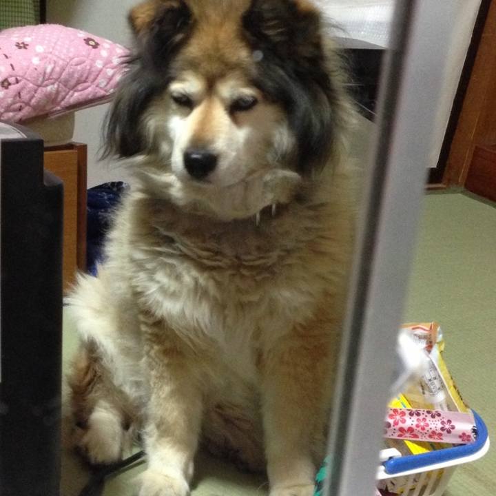 18de70d4 d422 4ed3 a9b1 764c135c488a 1616851160790