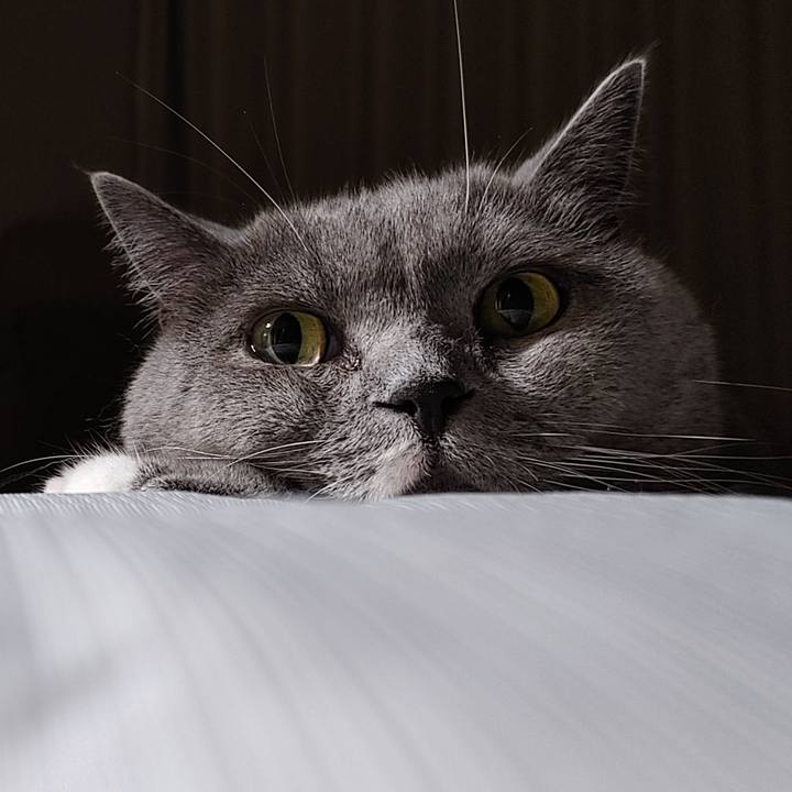 18dedb62 1763 4698 8bab a8e7cd922ed8 1693662240425