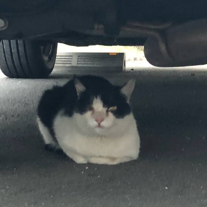 18dee06e 727d 4aff a17d d181bfd07012 1527861492013