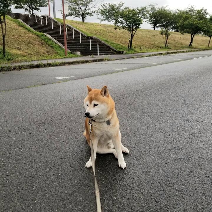 18def686 06f1 4ec3 871d 980378155327 1624088641769