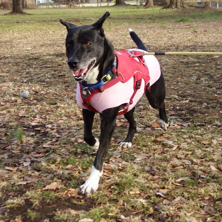 18defd9a 1b8b 4793 98d4 43b428eaef14 1676165050015