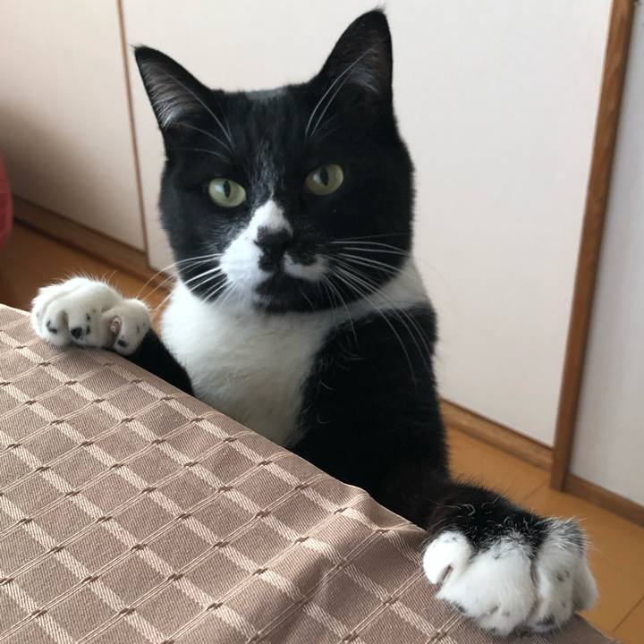 18df13b8 bdb4 4f5a 8e12 38d7d7adc384 1645069288765