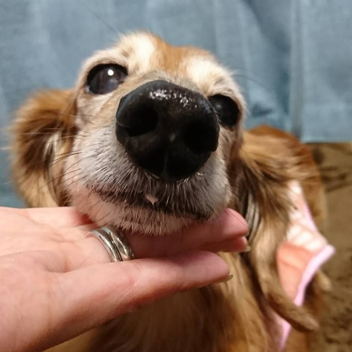 18df6082 a89d 4a95 b9f7 3e96d8d4cc23 1516056114244