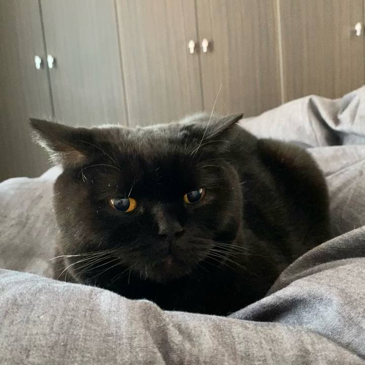 18df718b 0dec 45bd 9fdb 7f7487a8583f 1676949310586