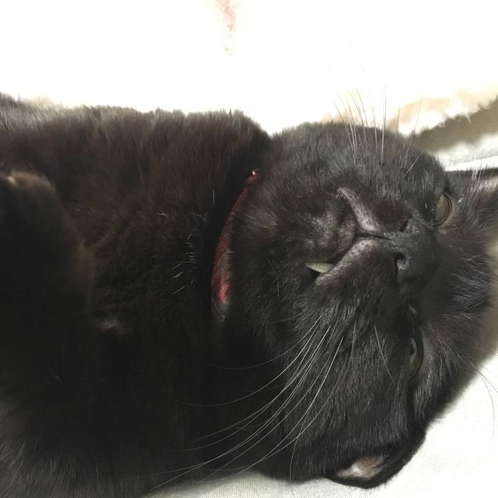 18df8d50 dfdb 4c40 b1c7 a34a4df75ccf 1510883535982