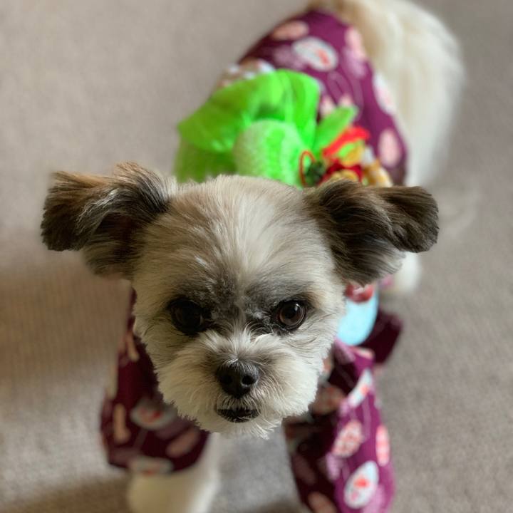 18dfc9a2 53eb 4244 a737 7d7f4eb14b27 1563139129497