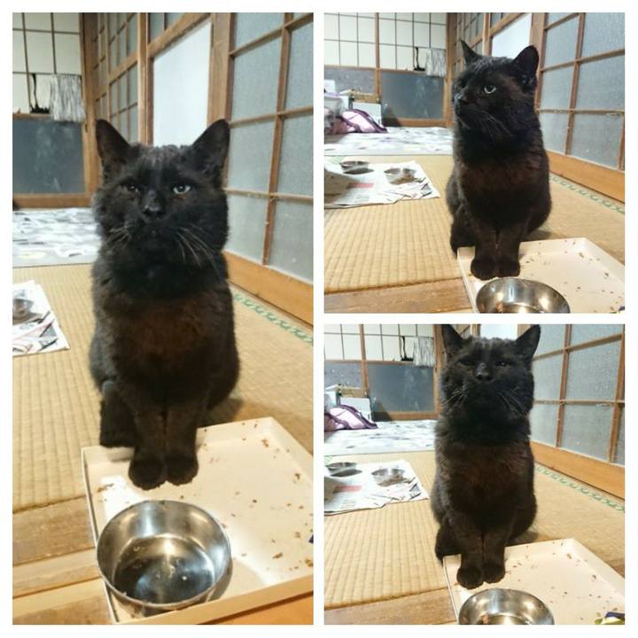 18dff579 e0e6 4682 a0d0 423bf5314208 1619261906607