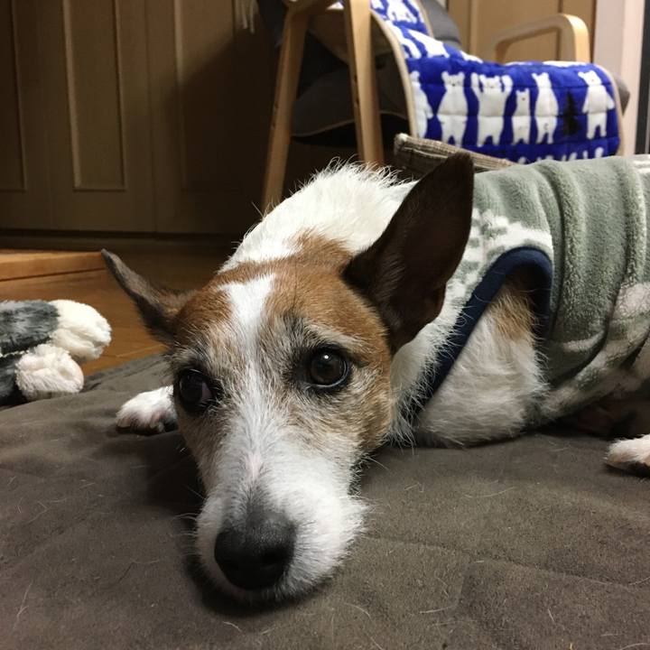 18dffe2d c2f6 4c5b b370 5896d96d1b30 1583363706372