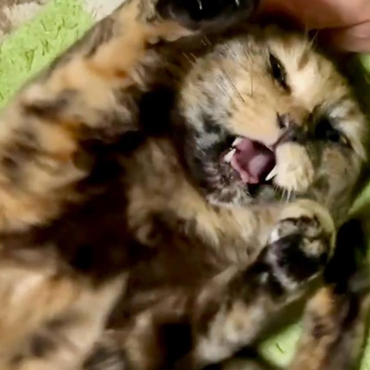 18e03632 64e0 4e0b a0fb 0a573b85d250 1744104729982