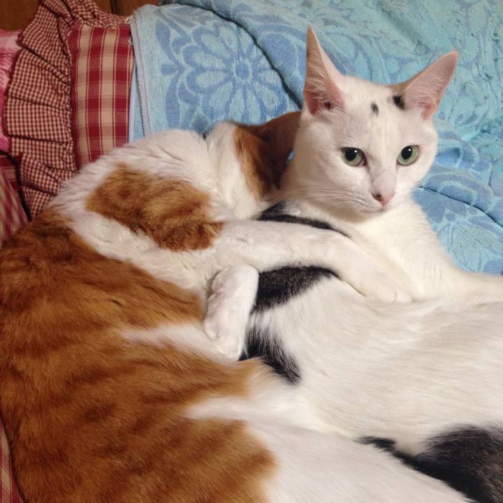 18e0945a f297 4dff 8645 cc45258cc7ad 1513164605012