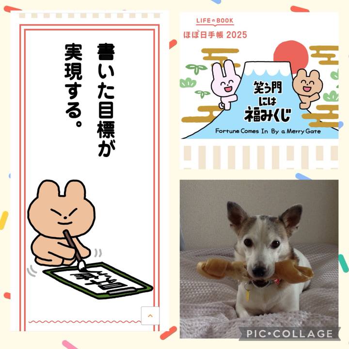 18e0b8eb fdd9 4dd1 9fdc 533cecbbc5ab 1735862565406