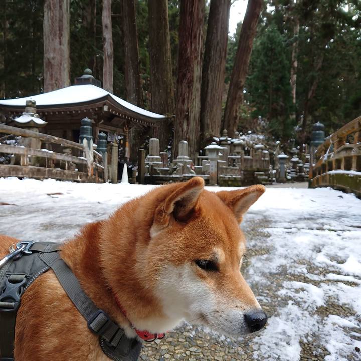 18e0f562 9dbb 4e45 aa72 d9453ce7fbcf 1767057052190