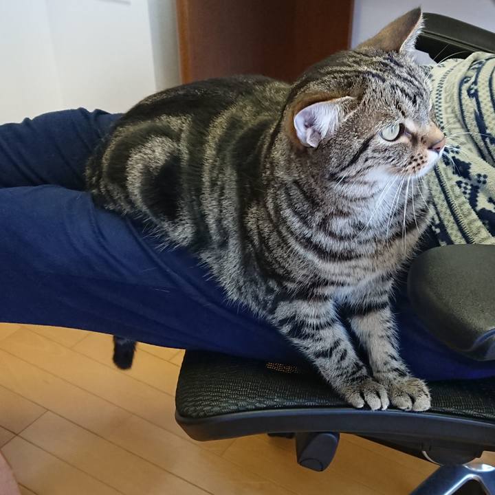 18e12592 949f 48d7 a737 de4e5e5c0b9e 1550749307144