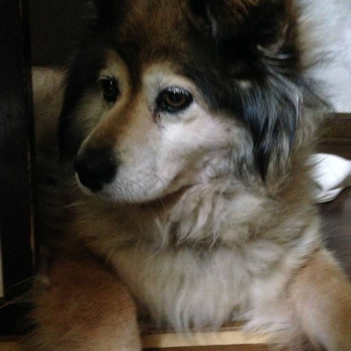 18e12629 7310 4d40 b0e3 797eb4c622fc 1586110113598