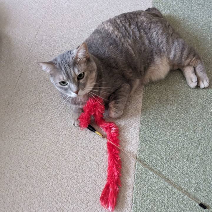 18e1278f 5874 4570 b626 f9f5a4533c2e 1698378200472