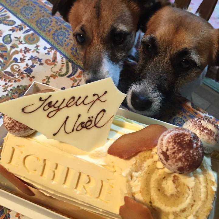 18e14552 ae7a 4e03 97a8 2505dd99ba4f 1513946149450