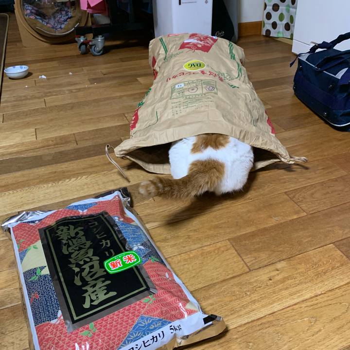 18e15ce6 158f 4134 bc0e ef027c37e7b2 1632925512999