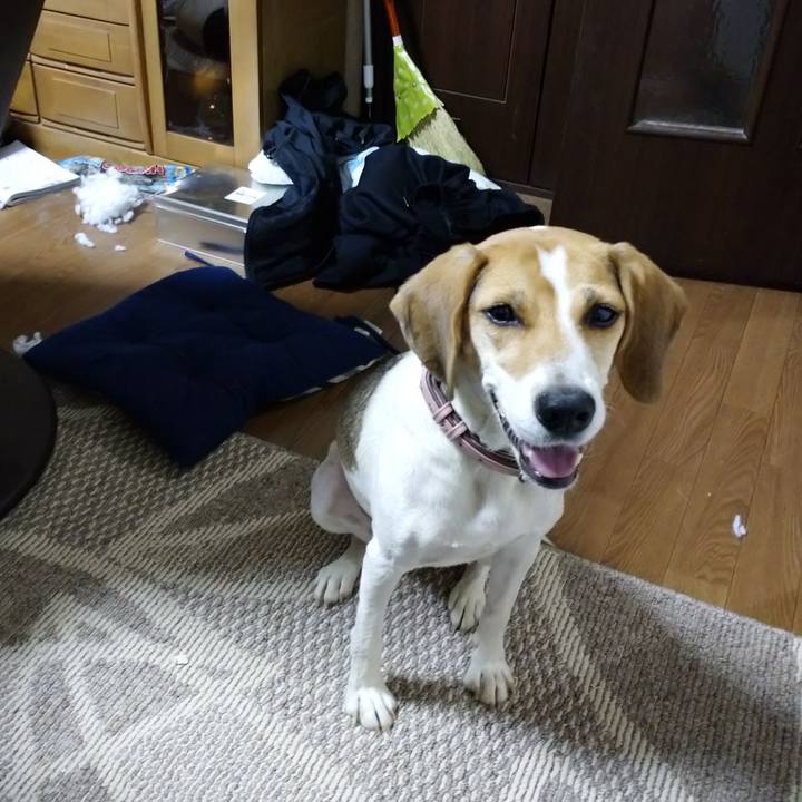 18e19b21 f69d 402b 8d24 c40405bf8f60 1602753020463