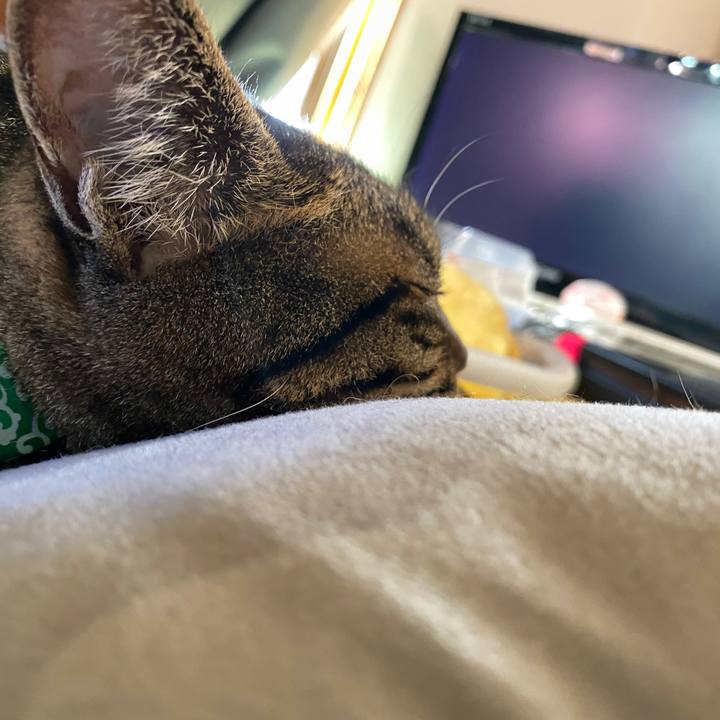 18e1ca59 600e 42fc b7dc bfa265905c92 1636614881633