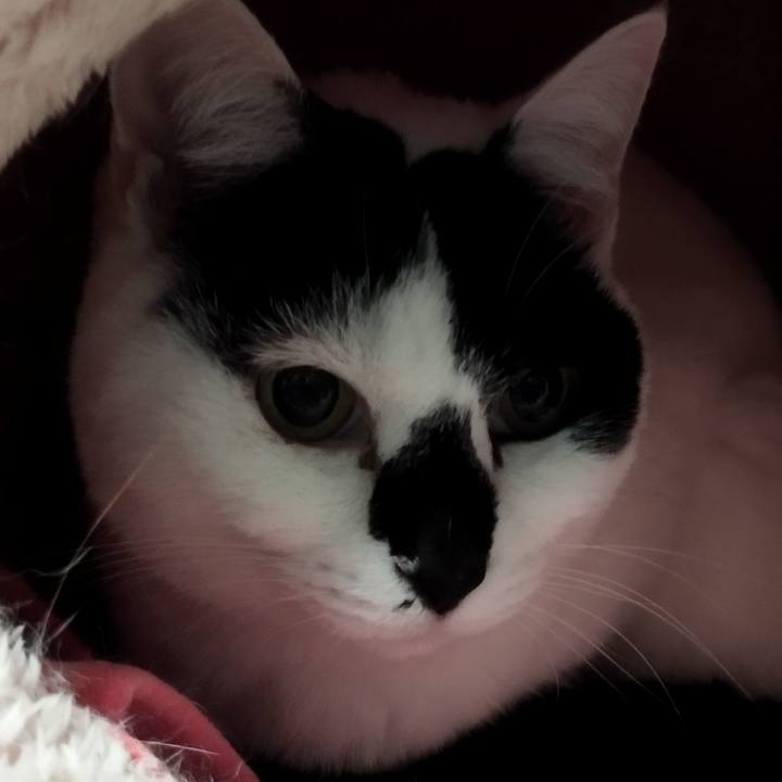 18e1e4da 3aaf 4d80 a771 d845fab52747 1708427609640