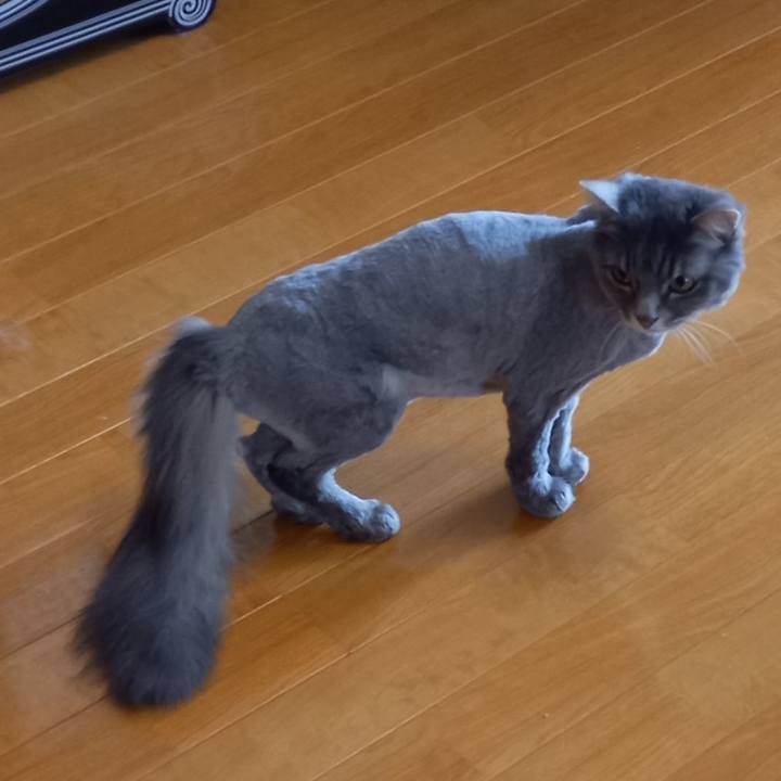 18e215b5 aacc 4c42 9632 d515eae4a1a7 1651799981390