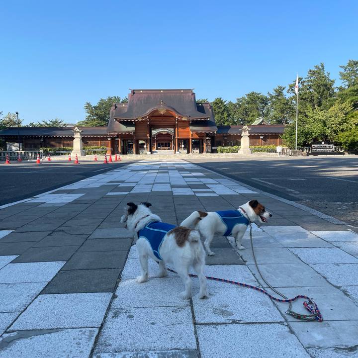 18e274ac 1553 442a b46d 2ac375030833 1753832271414