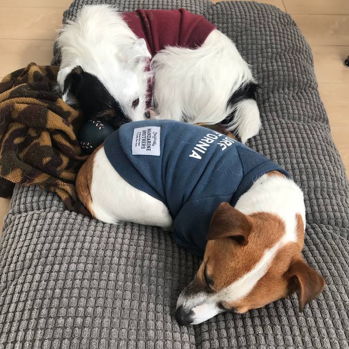 18e2750a 191e 43f9 8f7f 2d6a74e9b4a5 1519615390239