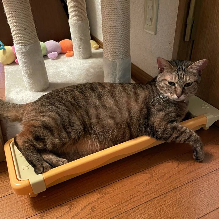 18e2cc3c b48d 4cb9 ac4a 84274fd741ca 1609916286510