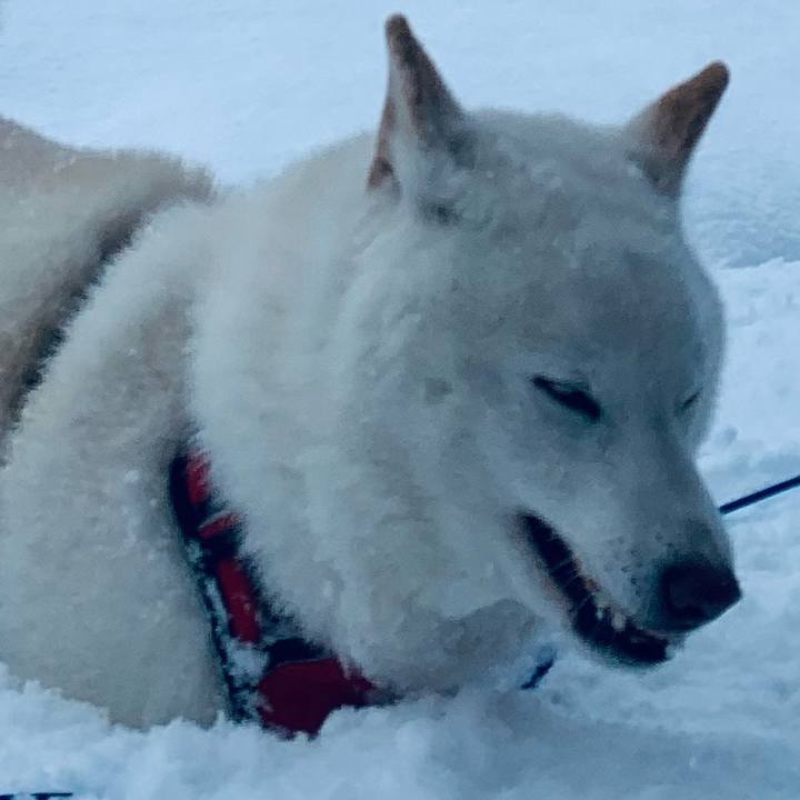 18e2e0d0 ae48 45a5 9873 efd9c3bce70c 1641950808593