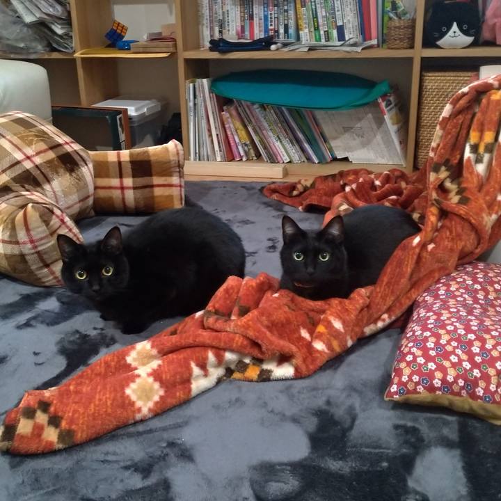 18e2f99f 9717 458c b76c af19814a4675 1577349520926