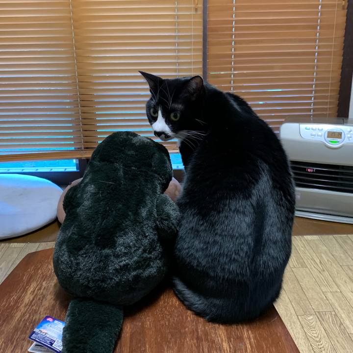 18e33b81 5700 4ce4 8d57 744a88ef7af7 1545038080845