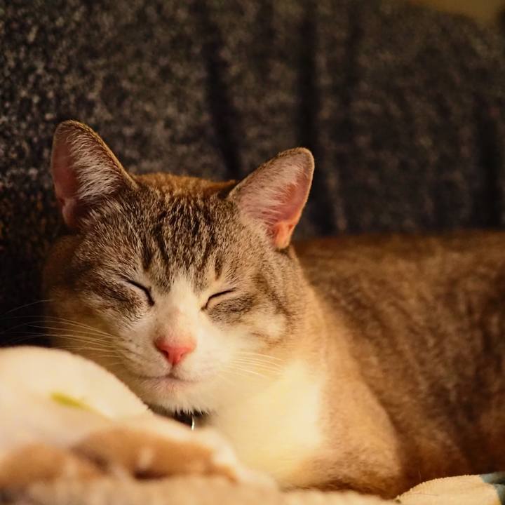 18e37832 3d80 42fe a673 c6d416858955 1611147735852